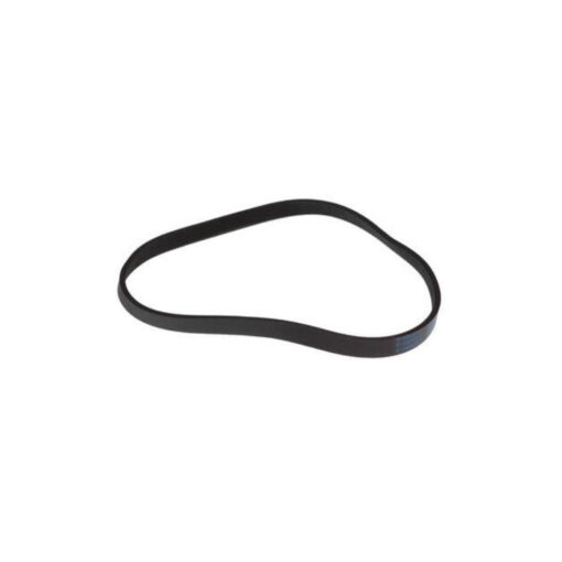 Whirlpool W11239857 Washer Drive Belt OEM Replaces W10808317