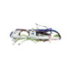 Whirlpool WPW10239822 Washer Wiring Harness OEM Replaces 1551889